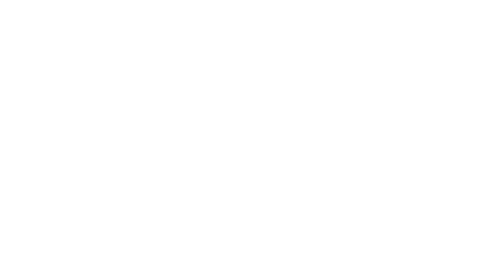 Fichtenau Logo: weißer Text "fichtenau VIEL RAUM ZUM LEBEN" mit einem stilisierten Blatt-Symbol auf grünem Hintergrund.